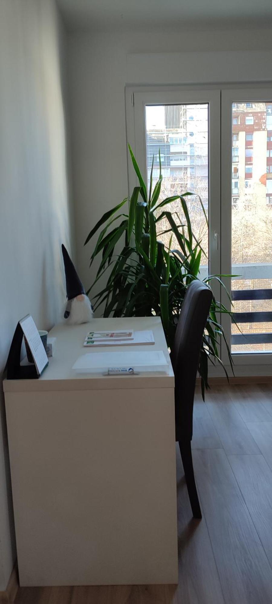 Sunny Apartment Osijek, Self Check In Eksteriør billede